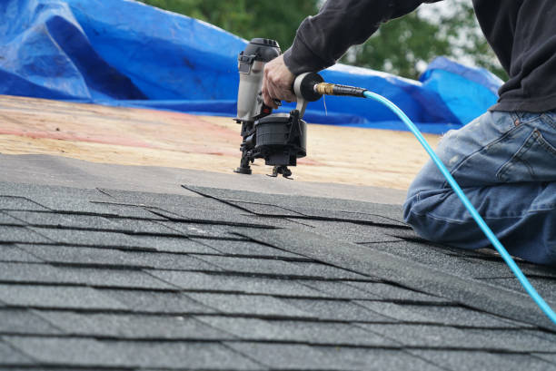 Quick and Trustworthy Emergency Roof Repair Services in Lakewood Park, FL